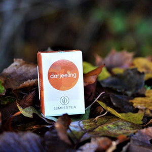 Caja de té Darjeeling Semper Tea sobre hojas otoñales.