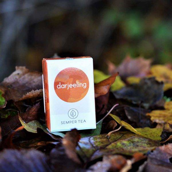 Caja de té Darjeeling Semper Tea sobre hojas otoñales.